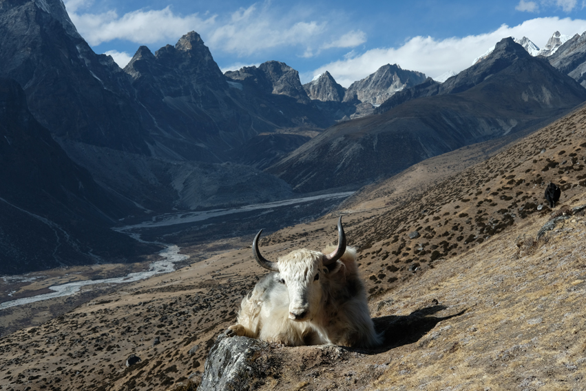 21 NP_171225_TRIENTRAPT_0786_WP